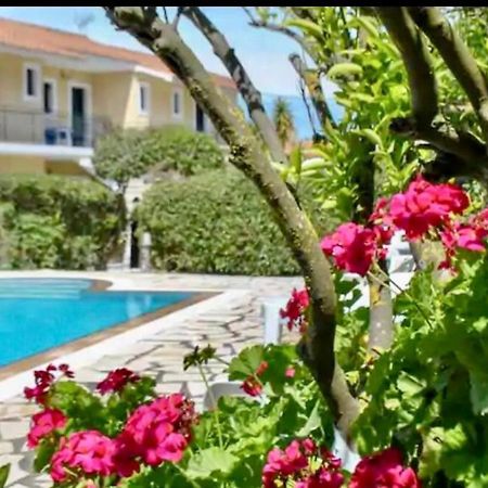 Lemon Tree Apartments B C Argostoli  Eksteriør billede