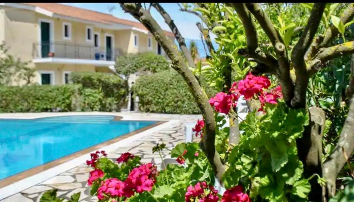 Lemon Tree Apartments B C Argostoli  Eksteriør billede
